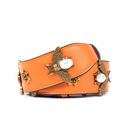 Swappable Strap