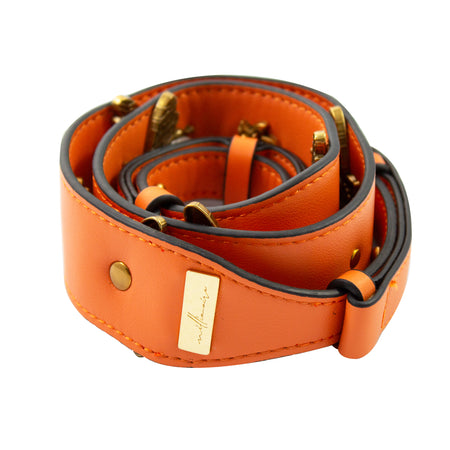 Swappable Strap